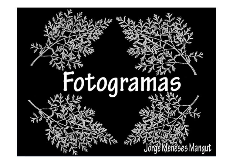 Como se hace un fotograma 2 Como se hace un fotograma 61